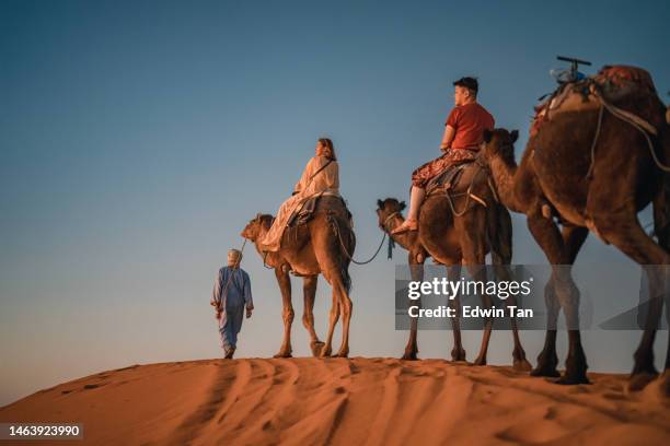 moroccan camel driver leading asian chinese female tourist crossing sahara desert in evening - touareg 個照片及圖片檔