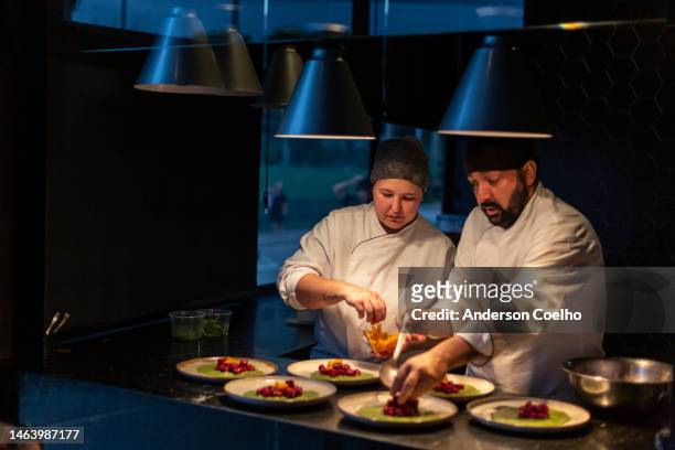 two chefs putting together dishes - gala imagens e fotografias de stock