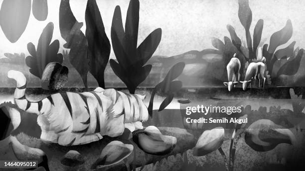 white tiger watching towards gazelle illustration - maasai mara national reserve stock illustrations