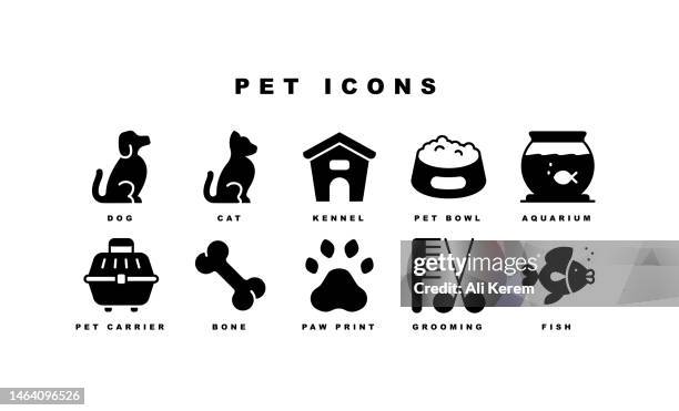 illustrazioni stock, clip art, cartoni animati e icone di tendenza di icone di animali domestici, animali, cani, gatti, alimenti per animali domestici - negozio di animali