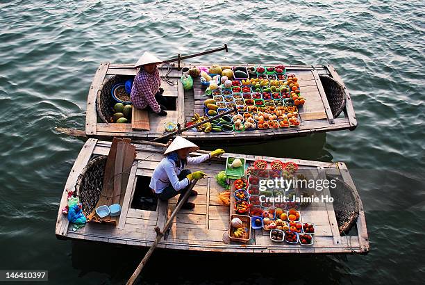halong bay fruit boat vendors - baia di ha long foto e immagini stock