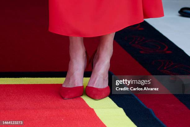 Queen Letizia of Spain, shoes detail, attends a meeting with the President of the National Assembly, Carolina Cerqueira, and an act in the hemicycle...