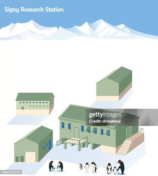 signy research station - gentoo penguin stock illustrations
