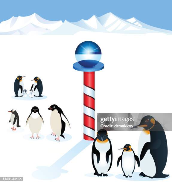south pole sign - gentoo penguin stock illustrations