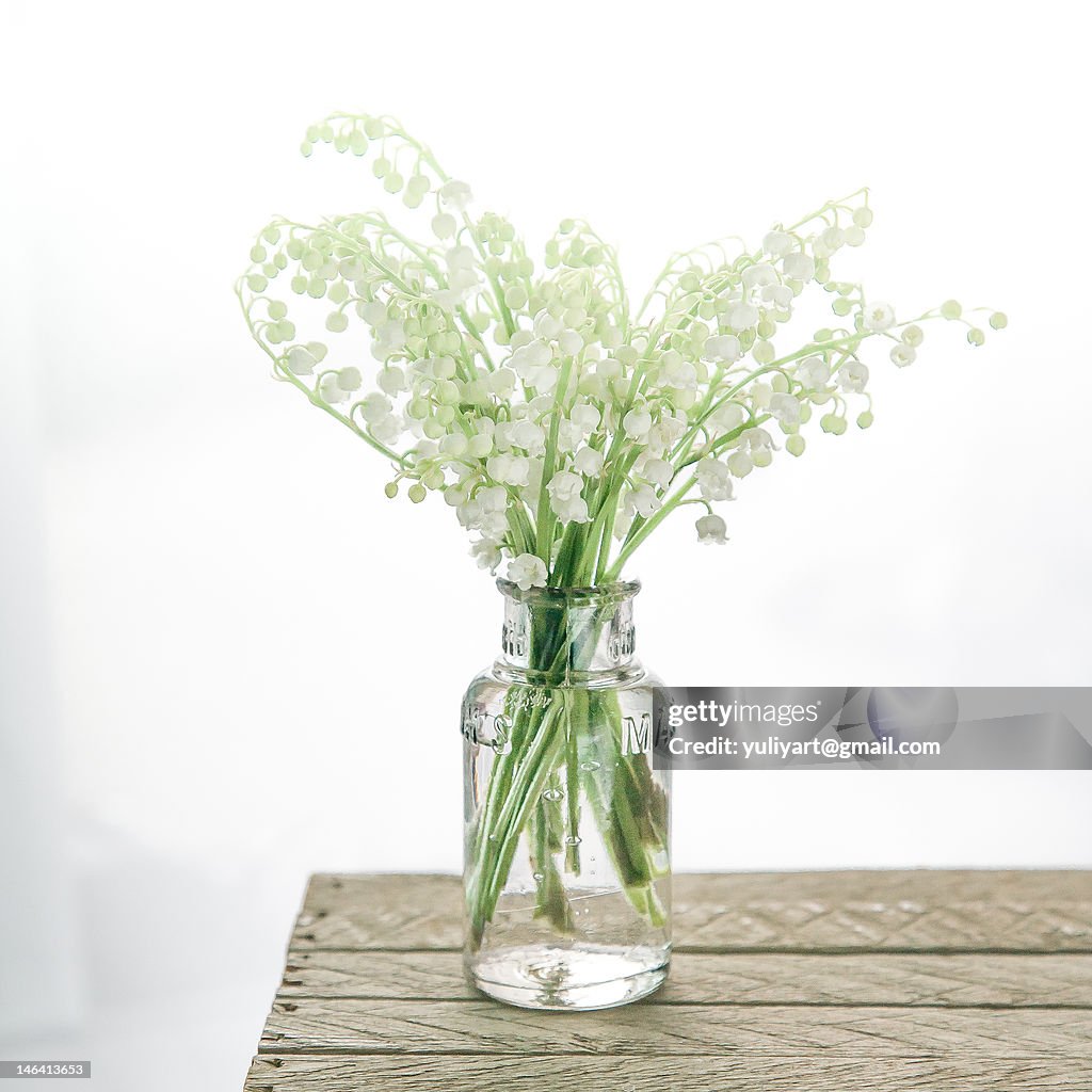Lily of valley