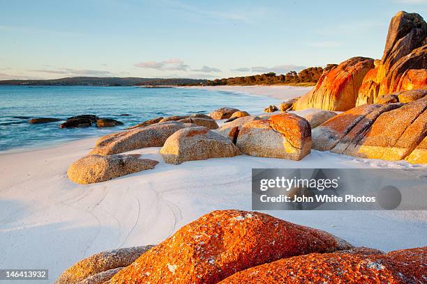 bay of fires in tasmania - hobart stock-fotos und bilder