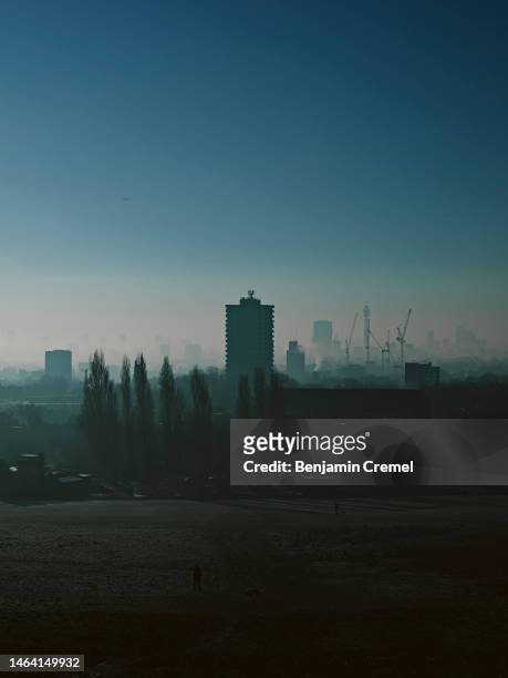 The London skyline is seen from Parliament Hill at Hampstead Heath on February 8, 2023 in London, England .