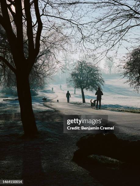 People walk at Hampstead Heath on February 8, 2023 in London, England .