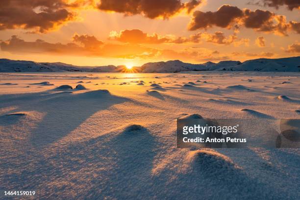 winter landscape at sunset. arctic tundra - toundra photos et images de collection