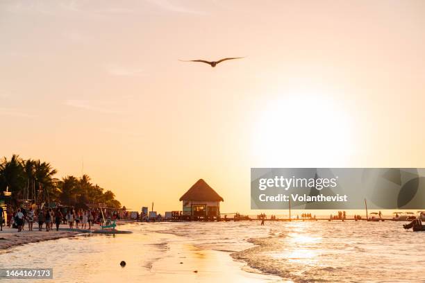 sunset in the beach in a trip holbox island - riviera maya - mexico - holbox island stockfoto's en -beelden