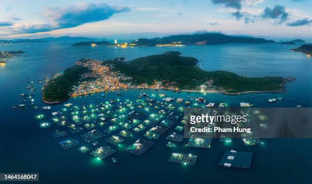 fish farms and lobster farms on tri nguyen island in sunset - aquaculture stock pictures, royalty-free photos & images