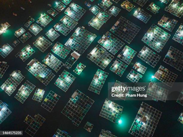 fish farms and lobster farms on tri nguyen island at night - aquaculture stock pictures, royalty-free photos & images