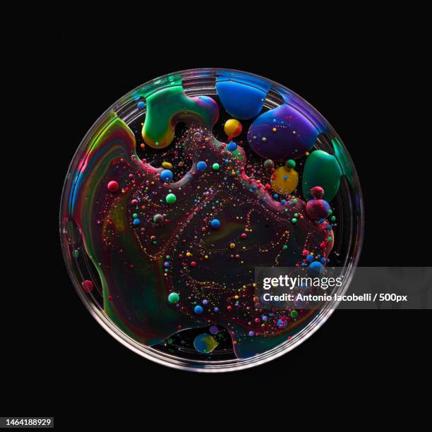 close-up of bubbles in water against black background,bari,italy - kula bildbanksfoton och bilder