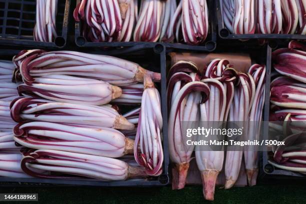 high angle view of vegetables for sale in market,venice,metropolitan city of venice,italy - couve rouxa imagens e fotografias de stock