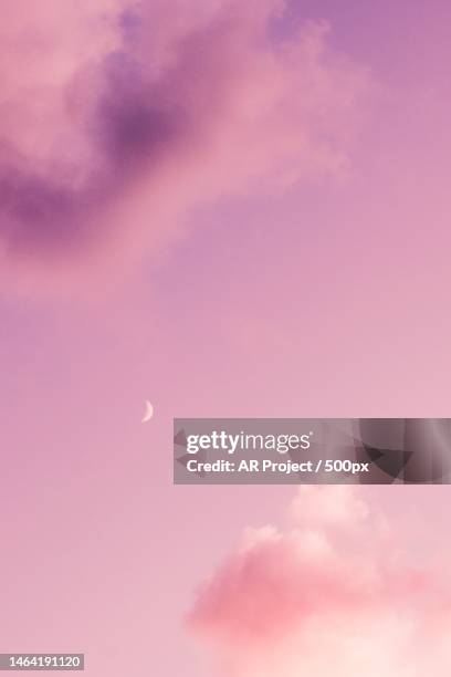 low angle view of pink sky,indonesia - tanna japonensis stock pictures, royalty-free photos & images
