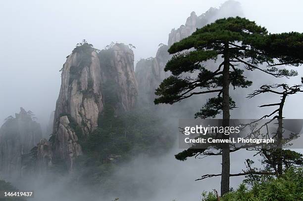 pine trees and foggy stone mountain - provincia de jiangxi fotografías e imágenes de stock