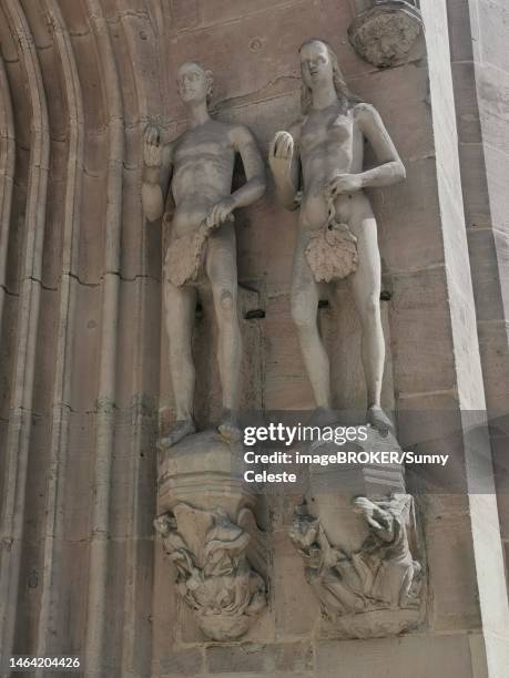 adam and eve at the main portal, morizkirche, evangelical lutheran town church of st. moriz, coburg, upper franconia, bavaria, germany - adam biblical figure 個照片及圖片檔