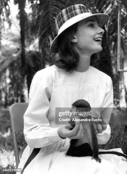 Actress Audrey Hepburn laughs while feeding a monkey on her lap, 1958 at Kisangani in Congo.
