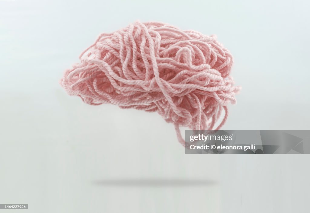 Wool brain