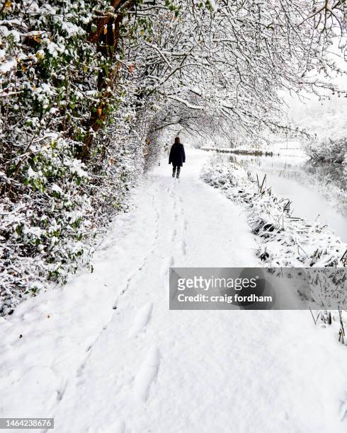 snow in essex countryside - footprints stock pictures, royalty-free photos & images