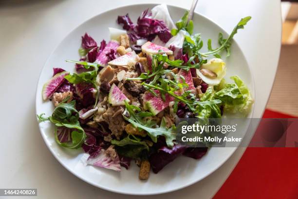 healthy, colorful tuna salad - radicchio stock pictures, royalty-free photos & images