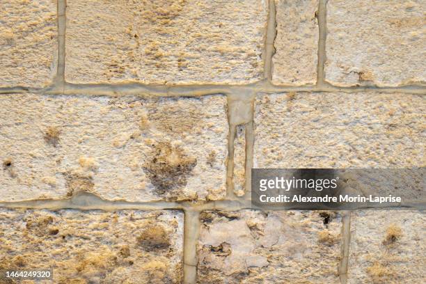 old white stone wall texture of the church of the nativity, the oldest major church in the holy land in bethlehem, palestine - brick cathedral stock pictures, royalty-free photos & images