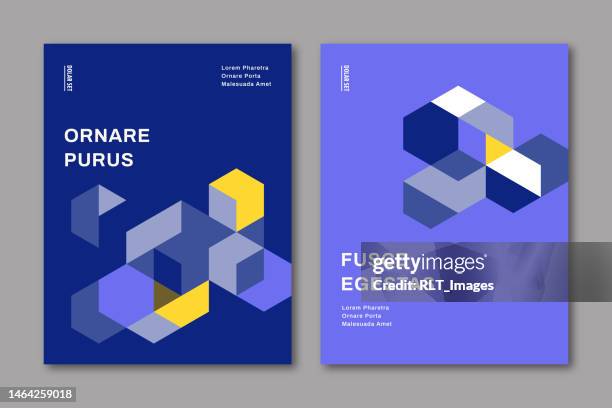 brochure cover design template with abstract geometric graphics — dexter system, ipsumco series - report document stock illustrations