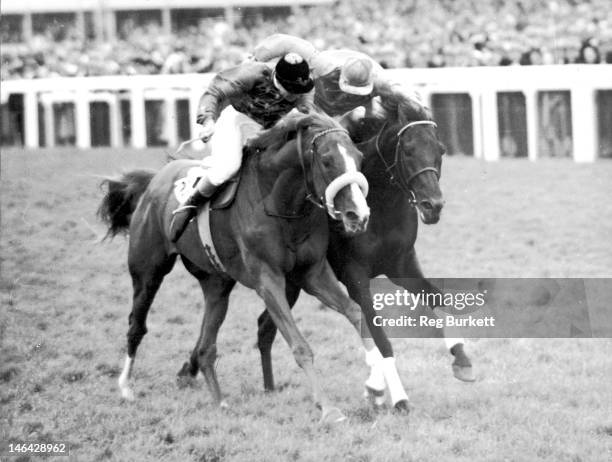 The Queen's racehorse Aureole, ridden by Eph Smith wins the Hardwicke Stakes at Ascot, 18th June 1954. On the right is Janitor, ridden by Manny...