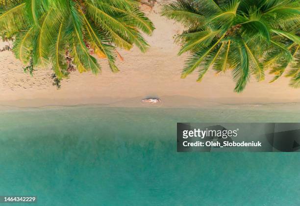 aerial view of woman laying on idyllic tropical beach - aerial beach view sunbathers stock pictures, royalty-free photos & images