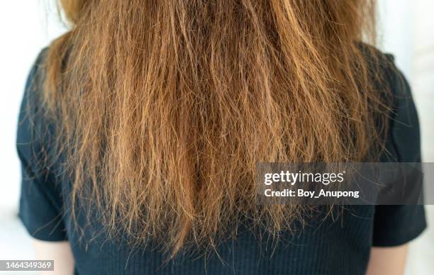 close up of rear view of woman with her messy and damaged split ended hair. - dry hair photos et images de collection