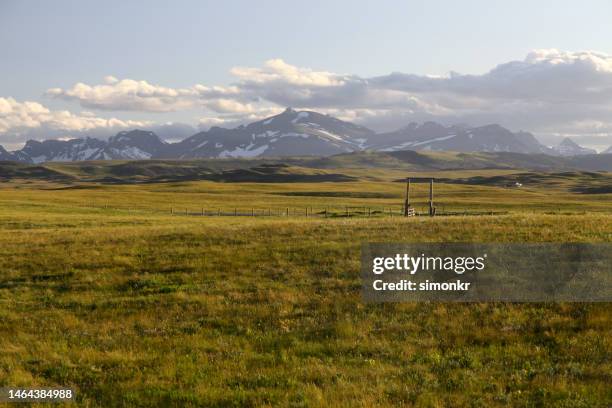 weidelandschaft - montana stock-fotos und bilder