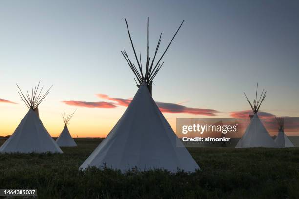 domestic tent on landscape - teepee stock pictures, royalty-free photos & images