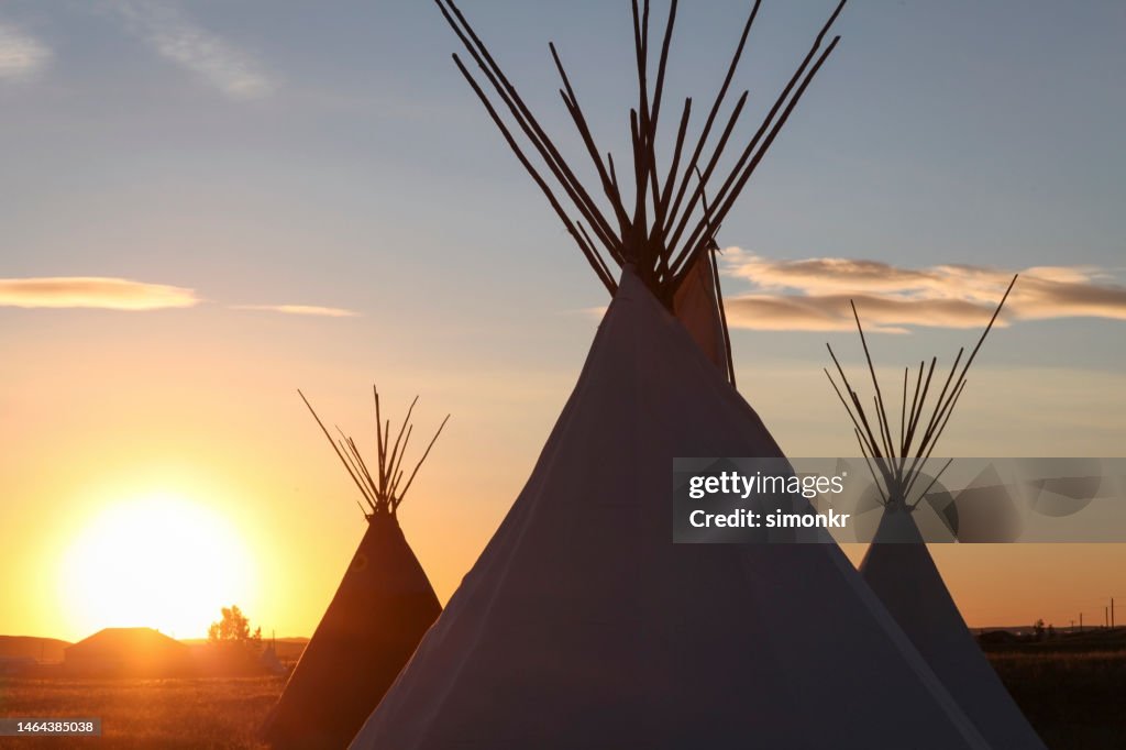 Domestic tent on landscape