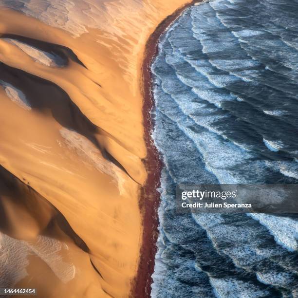 transition - sand dune stock pictures, royalty-free photos & images