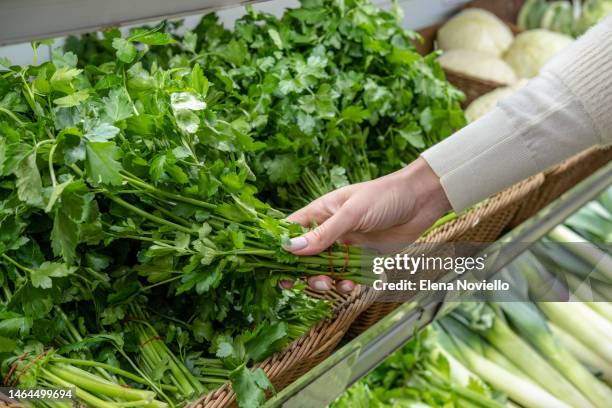 a woman takes a bunch of fresh green parsley from the supermarket - コリアンダー ストックフォトと画像