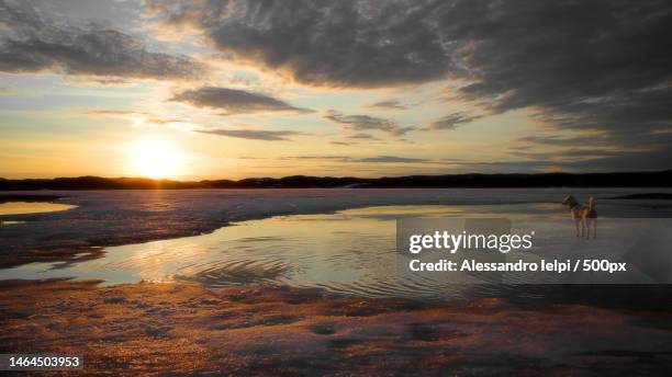 scenic view of beach against sky during sunset,iqaluit,nunavut,canada - iqaluit stock pictures, royalty-free photos & images