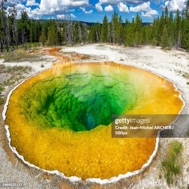 1.073 Archaea Stock Photos, High-Res Pictures, and Images - Getty Images