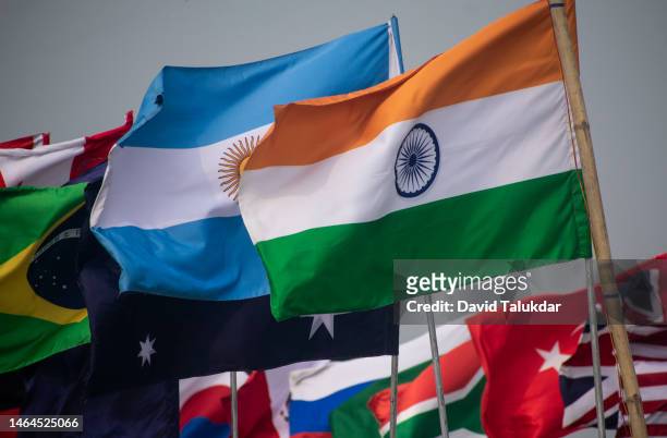flags of g20 nations - flag g20 stock pictures, royalty-free photos & images