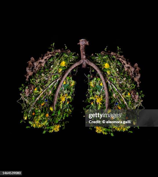 lungs of flowers and leaves - long grass stockfoto's en -beelden