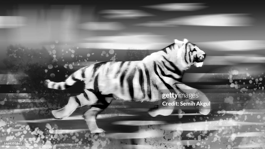 A Running White Tiger Illustration