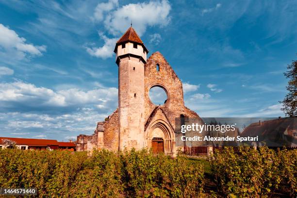 ruins of cârța monastery in transylvania, romania - romanian ruins stockfoto's en -beelden