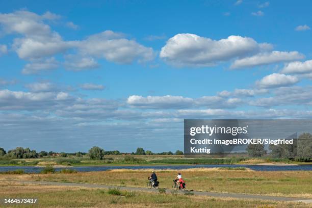 cyclist, elbe cycle route, elbe, hitzacker, elbtalaue, lower saxony, germany - elbe river stock pictures, royalty-free photos & images
