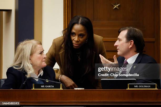 Weaponization of the Federal Government Subcommittee ranking member Del. Stacey Plaskett talks with fellow subcommittee members Rep. Sylvia Garcia...