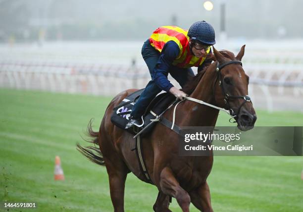 James McDonald riding Nature Strip defeats Jamie Mott riding Roch 'N' Horse and Blake Shinn riding September Run during a jump out up the straight at...