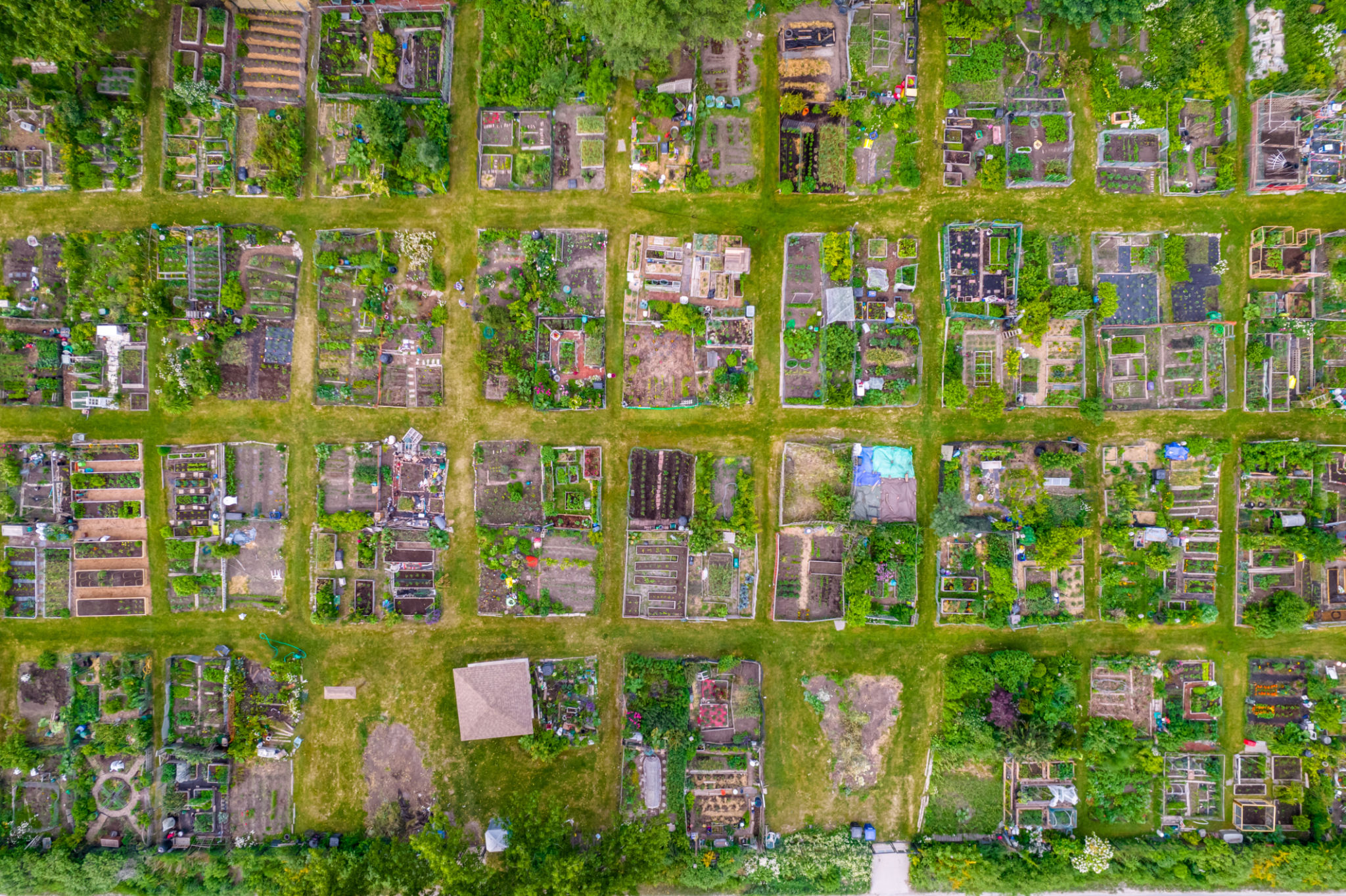 urban garden