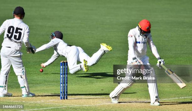 Cameron Bancroft of Western Australia dives from silly mid on for a ball out of reach off Daniel Drew of the Redbacks during the Sheffield Shield...