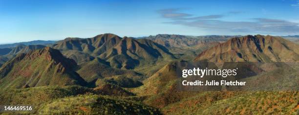 echo camp, arkaroola, south australia - flinders ranges stock-fotos und bilder