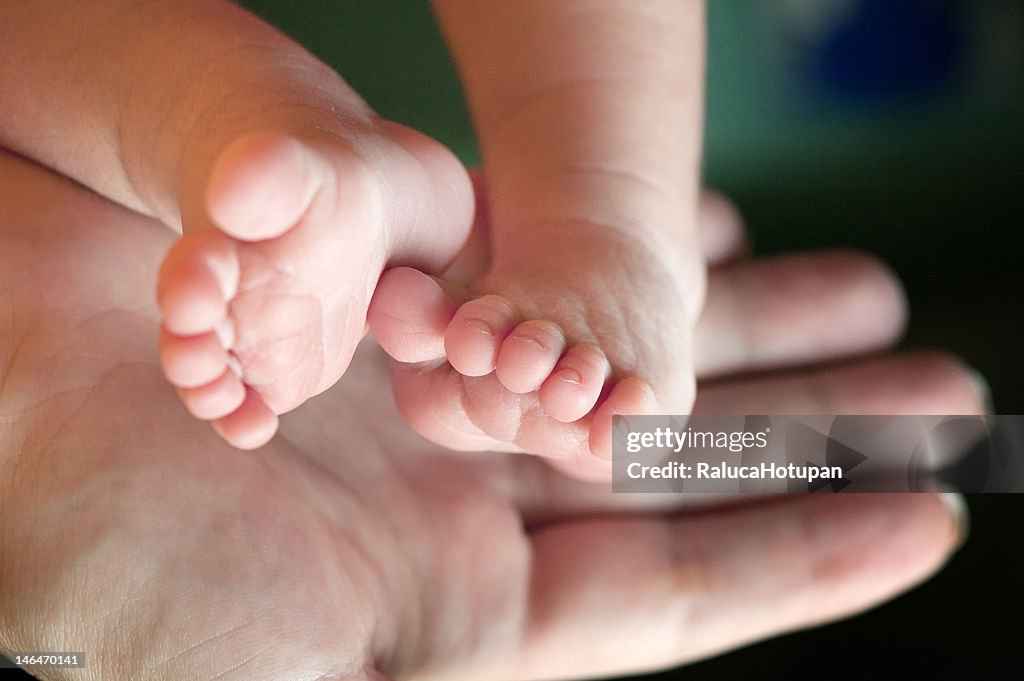 Hand holding new born baby feet