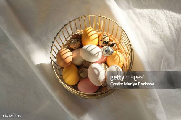golden basket with easter eggs on a white natural background bathed in the sun. - ostereier wiese stock-fotos und bilder