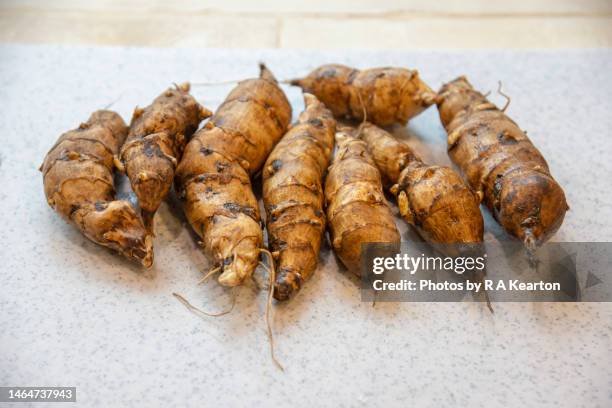 harvested jerusalem artichokes after being washed - jerusalem artichoke stock pictures, royalty-free photos & images